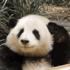 DƬ
